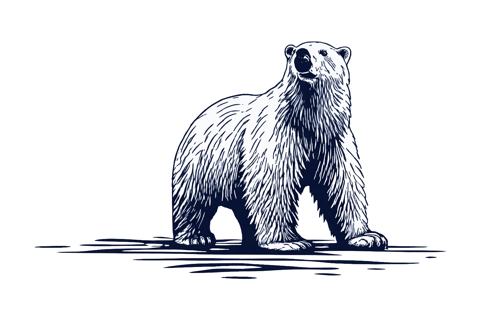 Polar Meridian bear icon